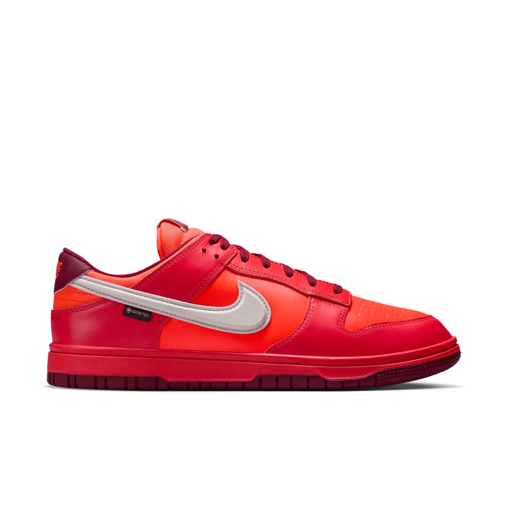 NIKE Dunk Low GTX Men's Sneakers