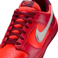 NIKE Dunk Low GTX Men's Sneakers